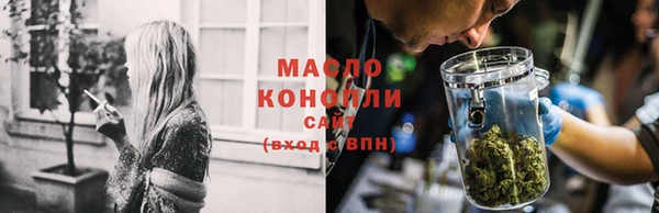 индика Вяземский