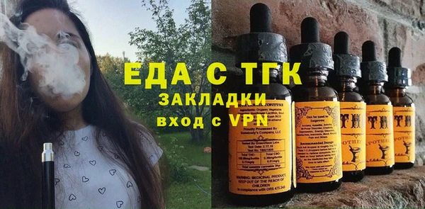 индика Вяземский