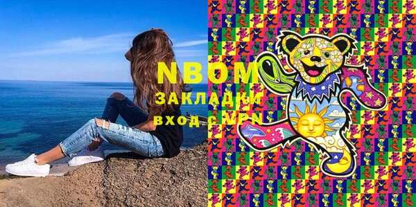 индика Вяземский
