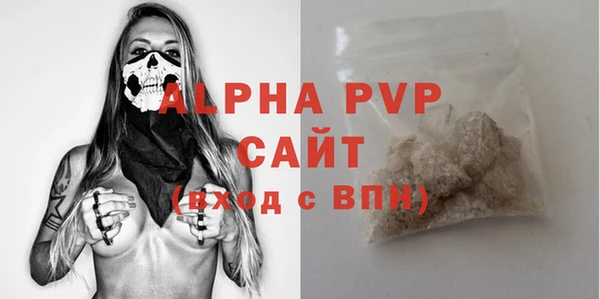 индика Вяземский