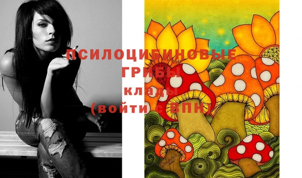 jwh Вязьма