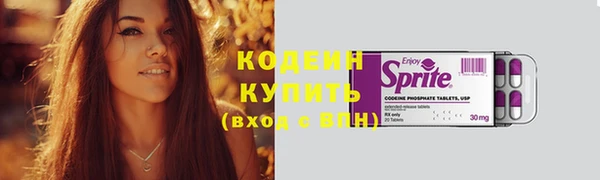 индика Вяземский