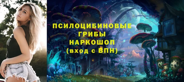 индика Вяземский