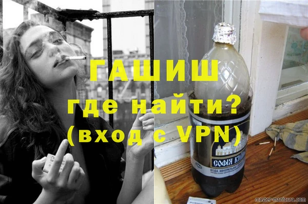 индика Вяземский