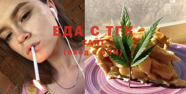 индика Вяземский