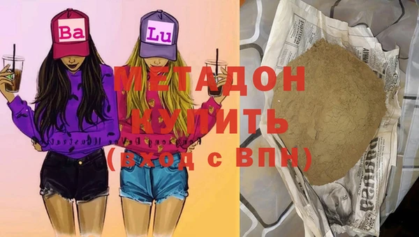 индика Вяземский