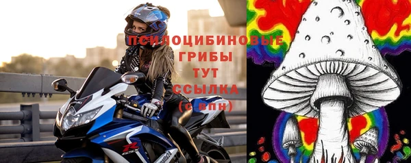 гидра Вязники