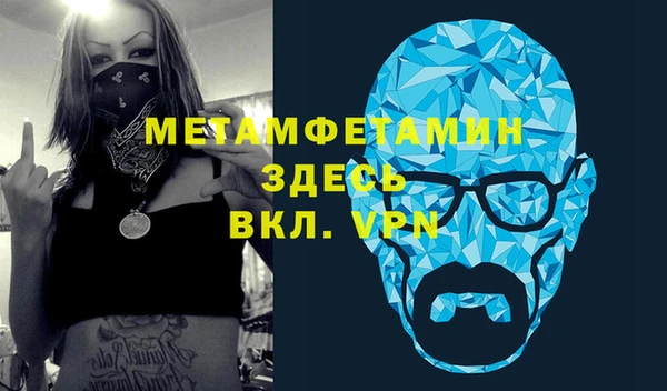 индика Вяземский
