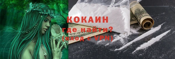 индика Вяземский