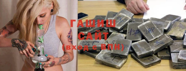 индика Вяземский